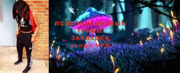 Альфа ПВП Алзамай