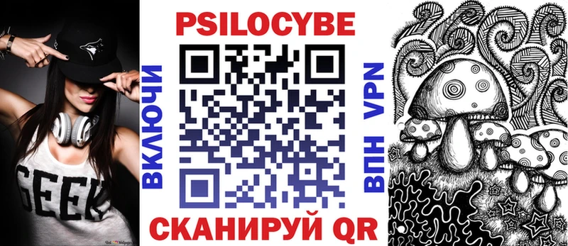 Галлюциногенные грибы Psilocybine cubensis  Обнинск 