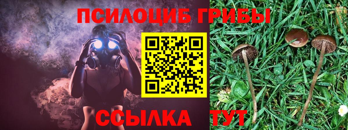 Галлюциногенные грибы GOLDEN TEACHER  Вход с VPN  Обнинск 